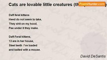 David DeSantis - Cats are lovable little creatures (this poem is a joke! ! !)
