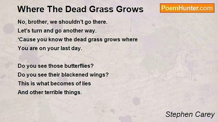 Stephen Carey - Where The Dead Grass Grows