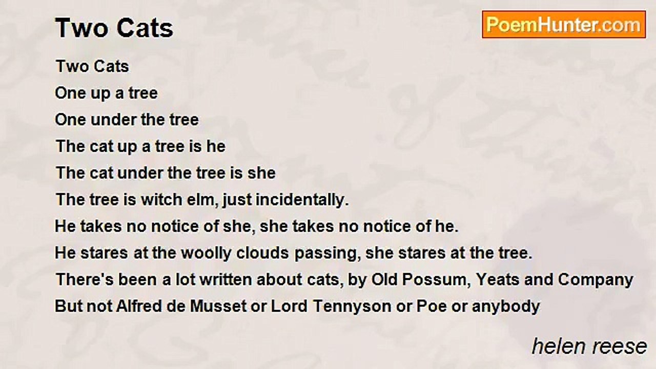 helen reese - Two Cats