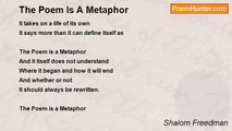 Shalom Freedman - The Poem Is A Metaphor