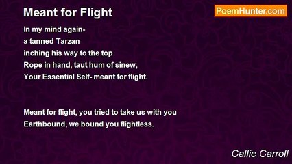 Callie Carroll's 'Meant for Flight' – An Uplifting Tale of Strength and Aspiration ✈️