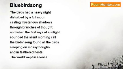 David Taylor - Bluebirdsong