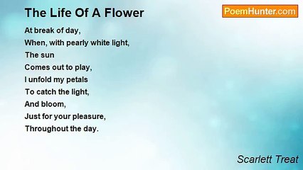 Scarlett Treat - The Life Of A Flower