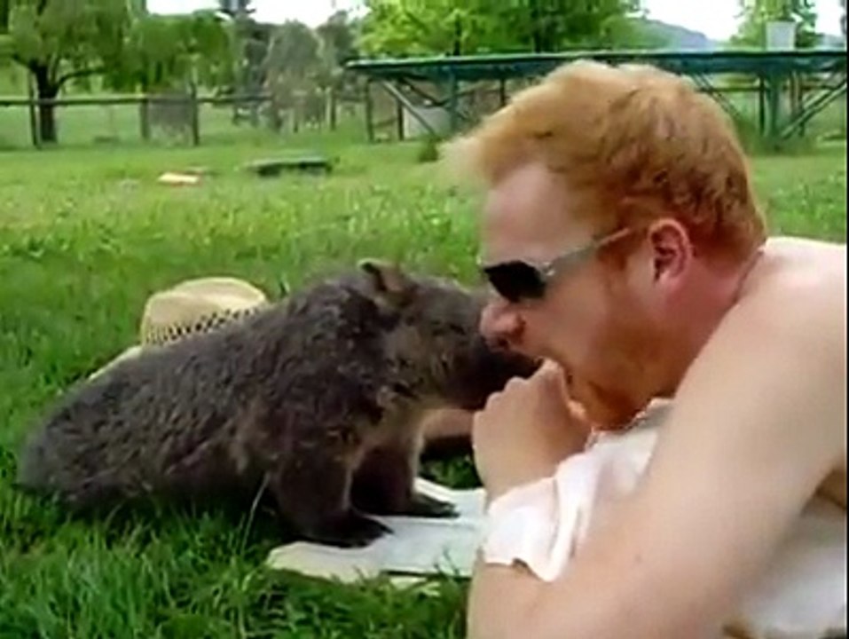 Chummy Wombat Loves Tummy Rubs