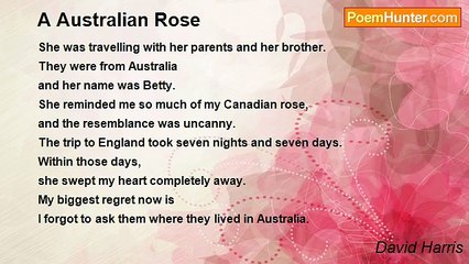 David Harris - A Australian Rose