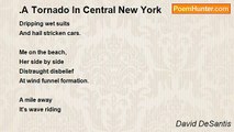 David DeSantis - .A Tornado In Central New York