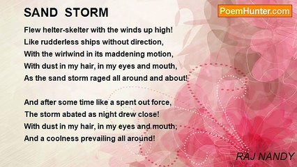 RAJ NANDY - SAND  STORM