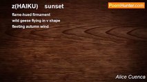 Alice Cuenca - z(HAIKU)    sunset