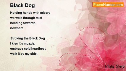 Viola Grey - Black Dog