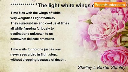 Shelley L Baxter - ************ *The light white wings of time.*