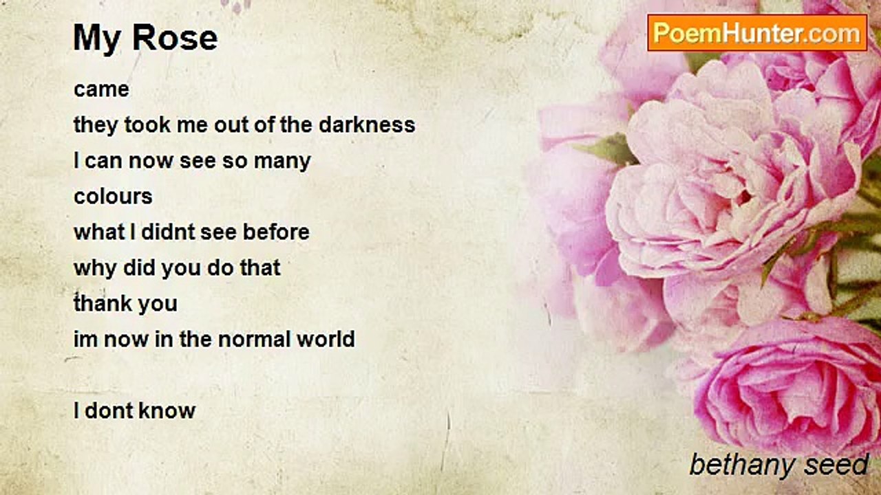 bethany seed - My Rose