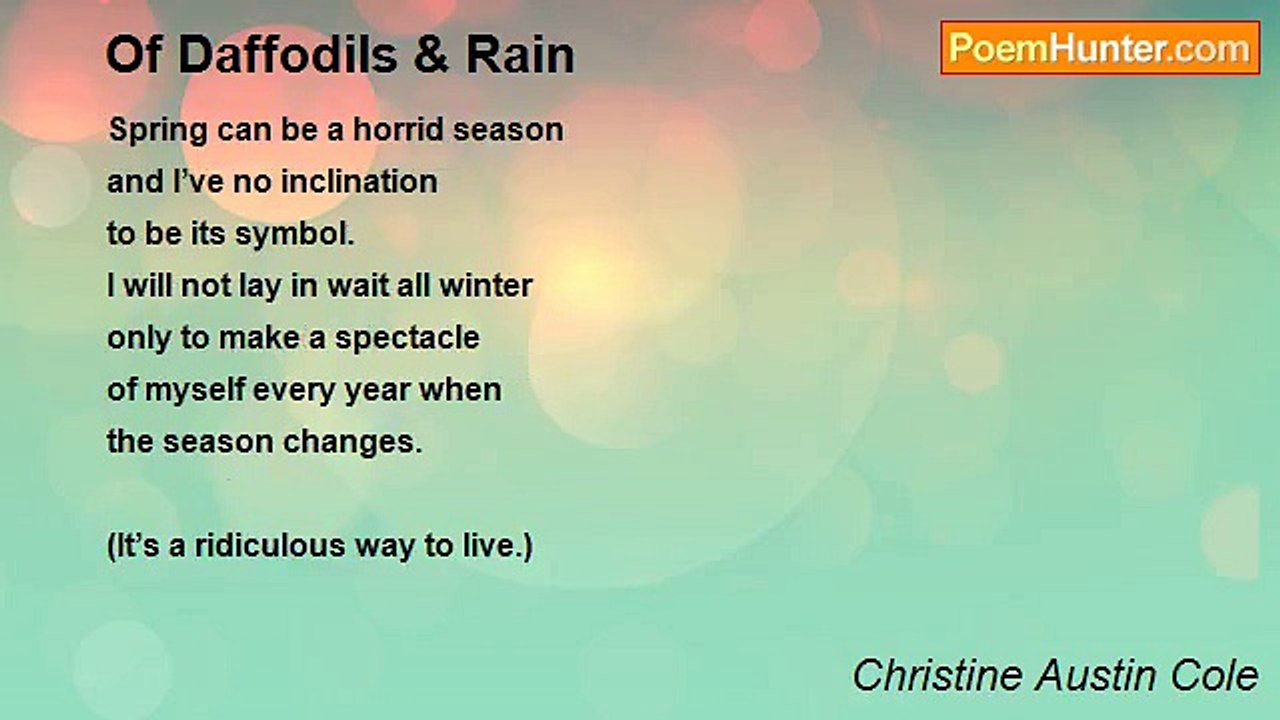 Christine Austin Cole - Of Daffodils & Rain