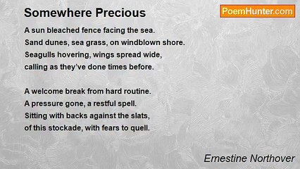 Ernestine Northover - Somewhere Precious
