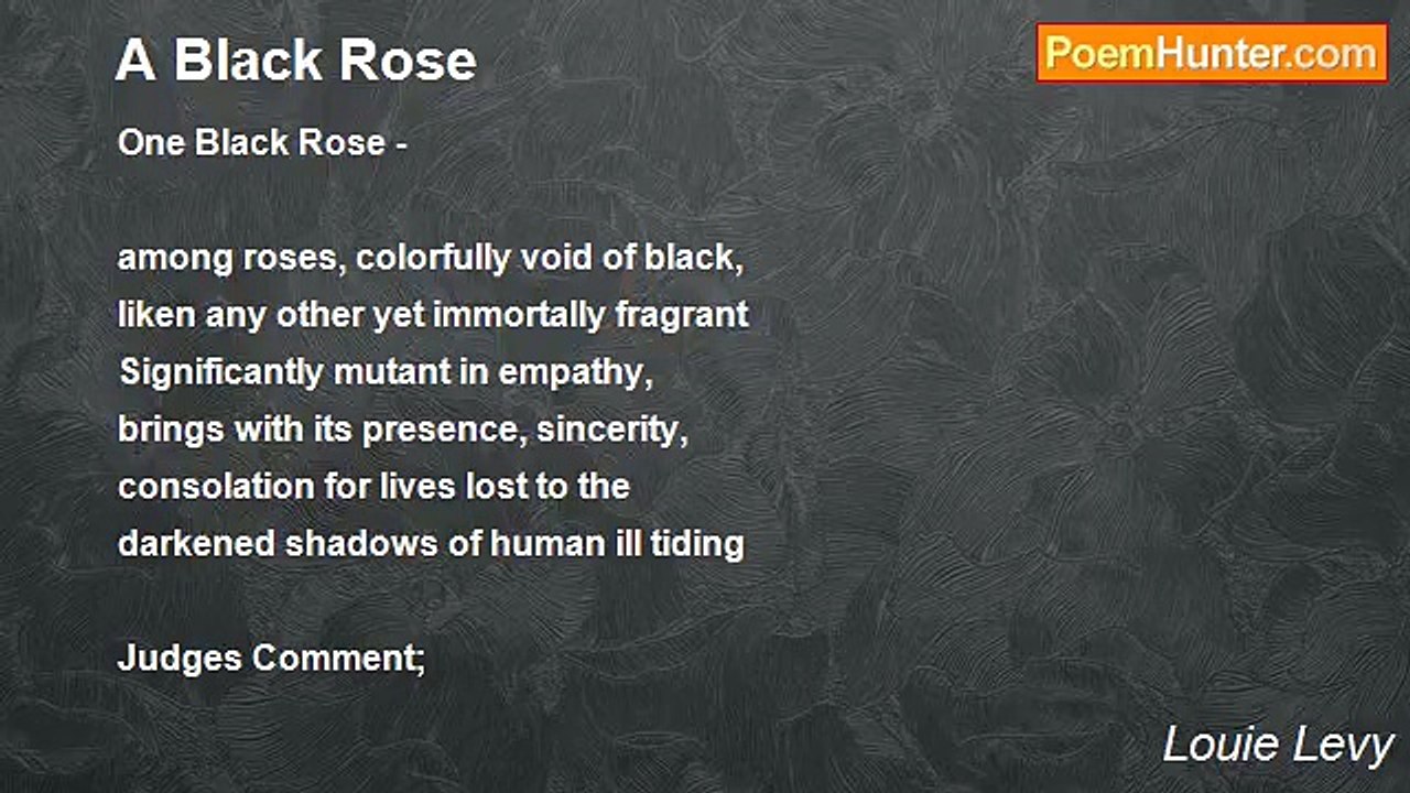 Louie Levy - A Black Rose
