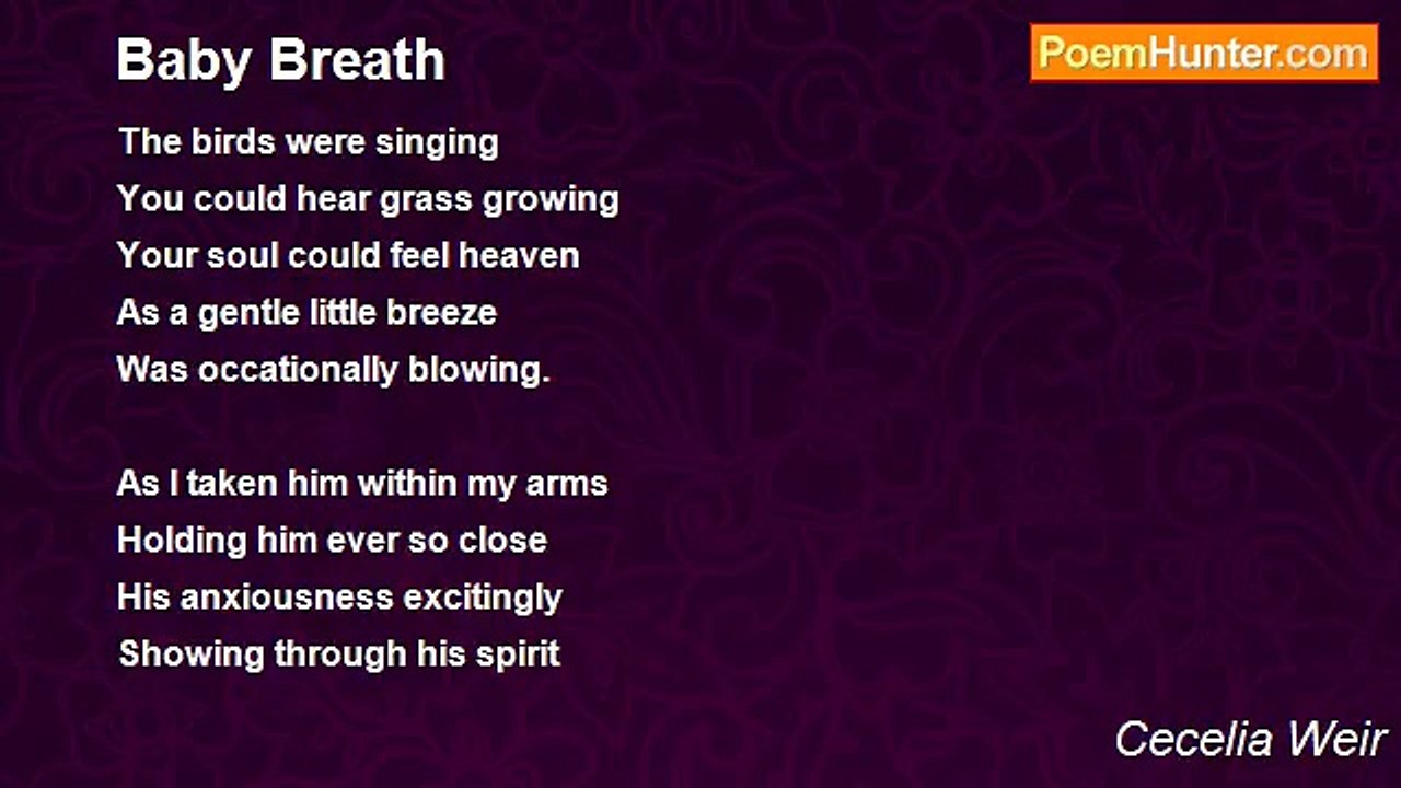Cecelia Weir - Baby Breath