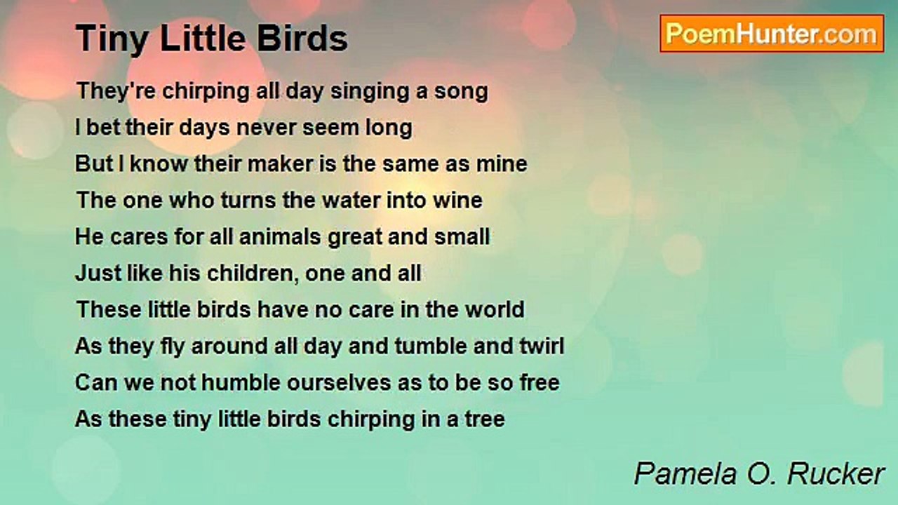 Pamela O. Rucker - Tiny Little Birds