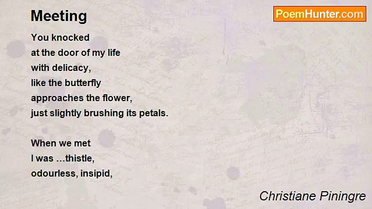 Christiane Piningre - Meeting