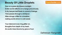 Satheesan Rangorath - Beauty Of Little Droplets