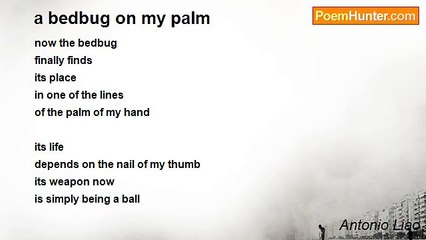 Antonio Liao - a bedbug on my palm