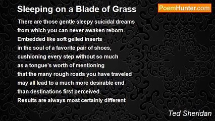 Ted Sheridan - Sleeping on a Blade of Grass