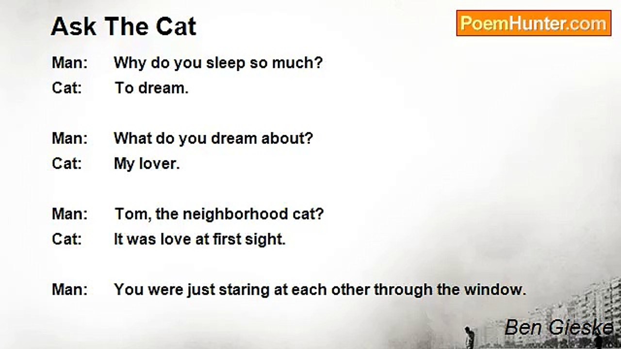 Ben Gieske - Ask The Cat