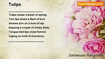 Satheesan Rangorath - Tulips