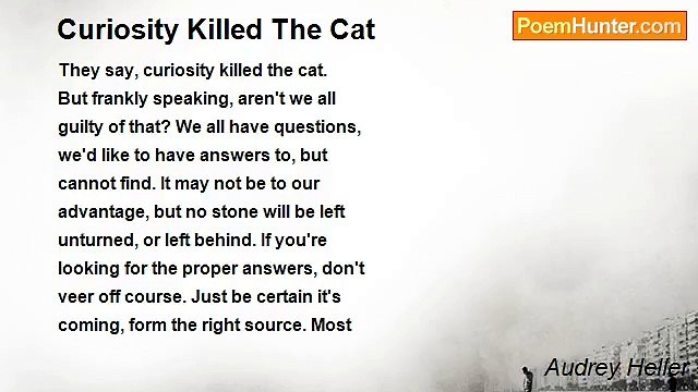 Audrey Heller - Curiosity Killed The Cat