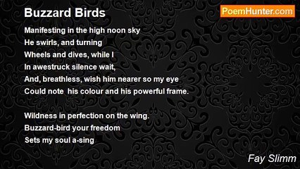 Fay Slimm - Buzzard Birds