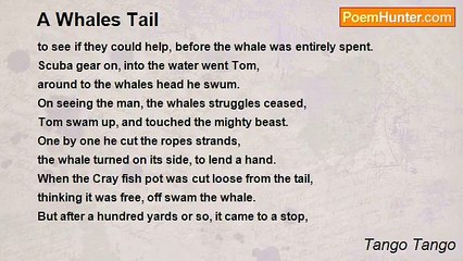Tango Tango - A Whales Tail