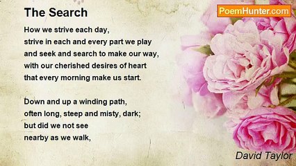 David Taylor - The Search