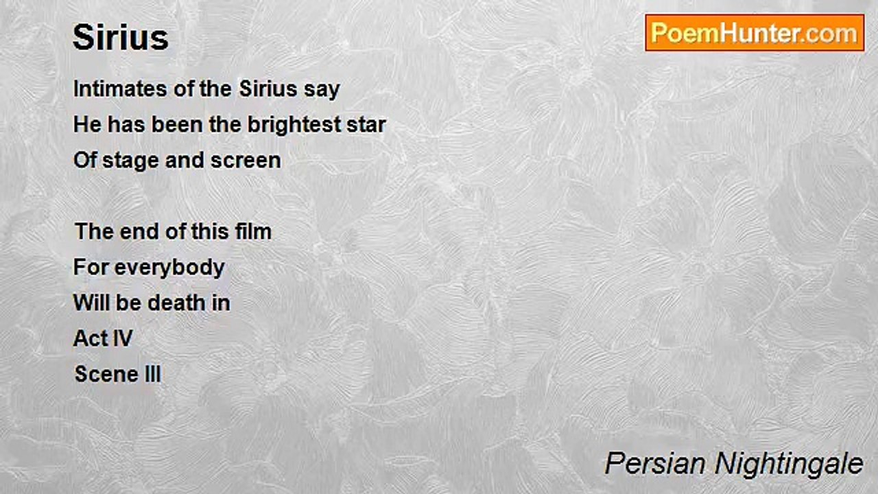 Persian Nightingale - Sirius