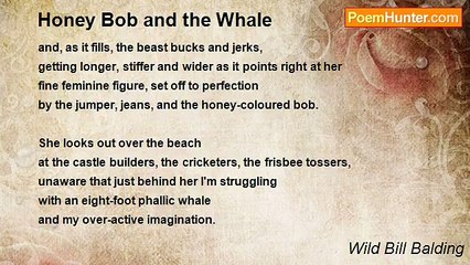 Wild Bill Balding - Honey Bob and the Whale