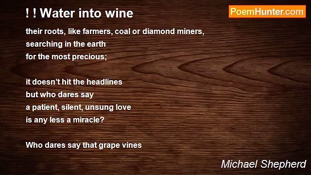 Michael Shepherd - ! ! Water into wine