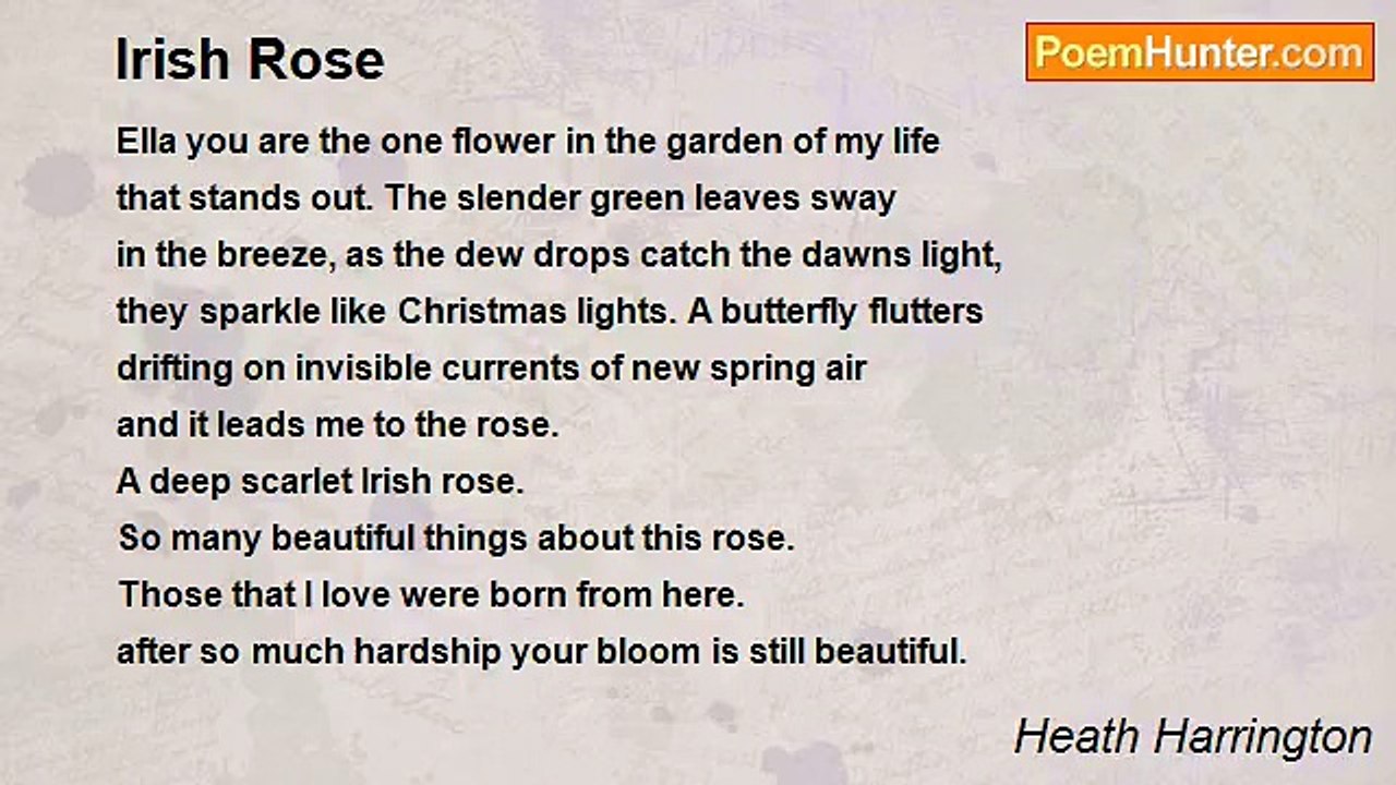 Heath Harrington - Irish Rose