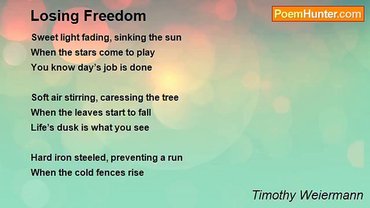 Timothy Weiermann - Losing Freedom