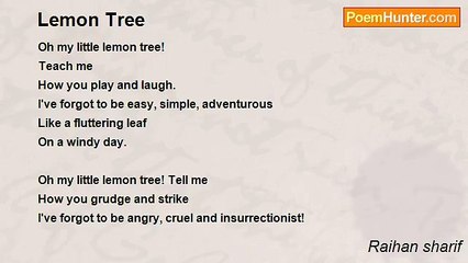 Raihan sharif - Lemon Tree