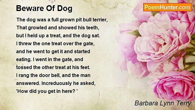 Barbara Lynn Terry - Beware Of Dog
