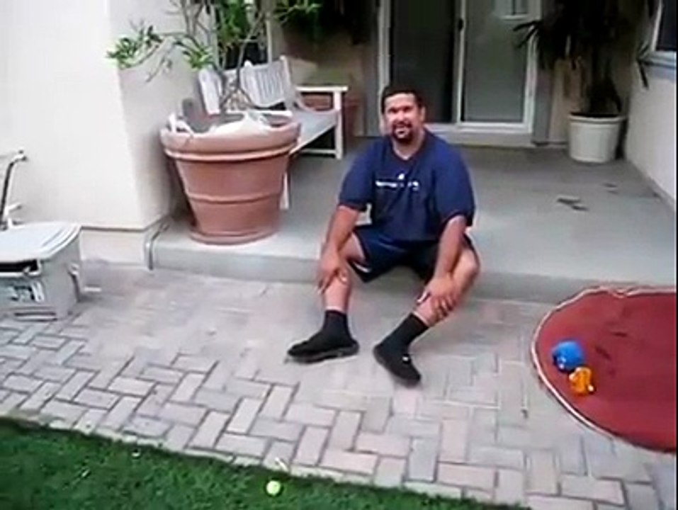Puppies Enter Attack Mode