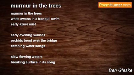 Ben Gieske - murmur in the trees