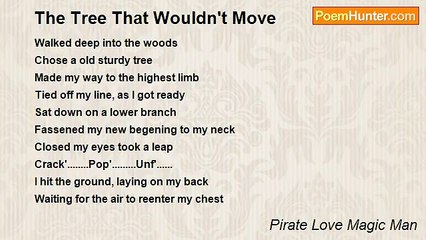 Pirate Love Magic Man - The Tree That Wouldn't Move