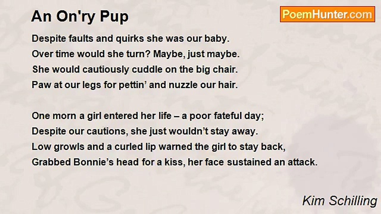 Kim Schilling - An On'ry Pup