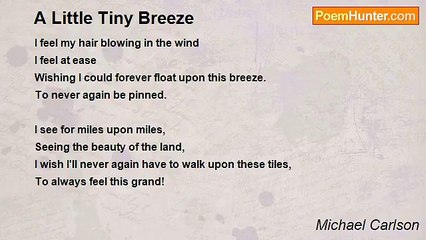 Michael Carlson - A Little Tiny Breeze