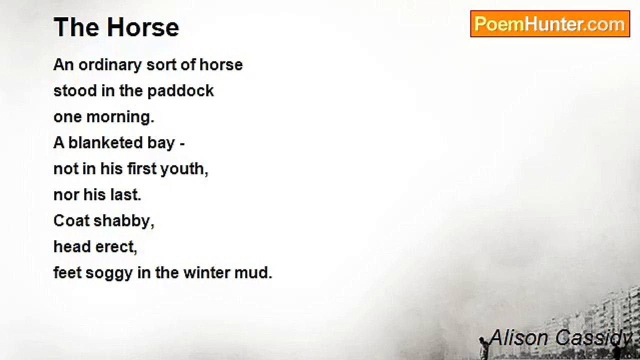 Alison Cassidy - The Horse