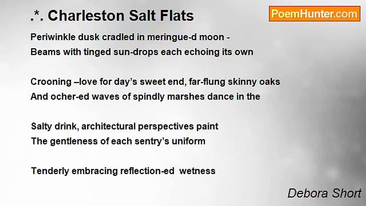 Debora Short - .*. Charleston Salt Flats