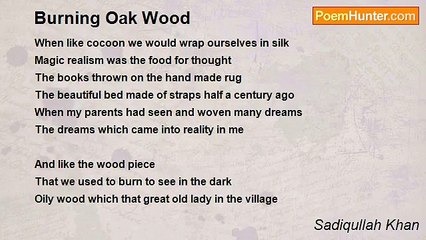 Sadiqullah Khan - Burning Oak Wood