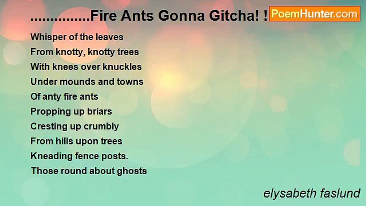 elysabeth faslund - ...............Fire Ants Gonna Gitcha! ! !