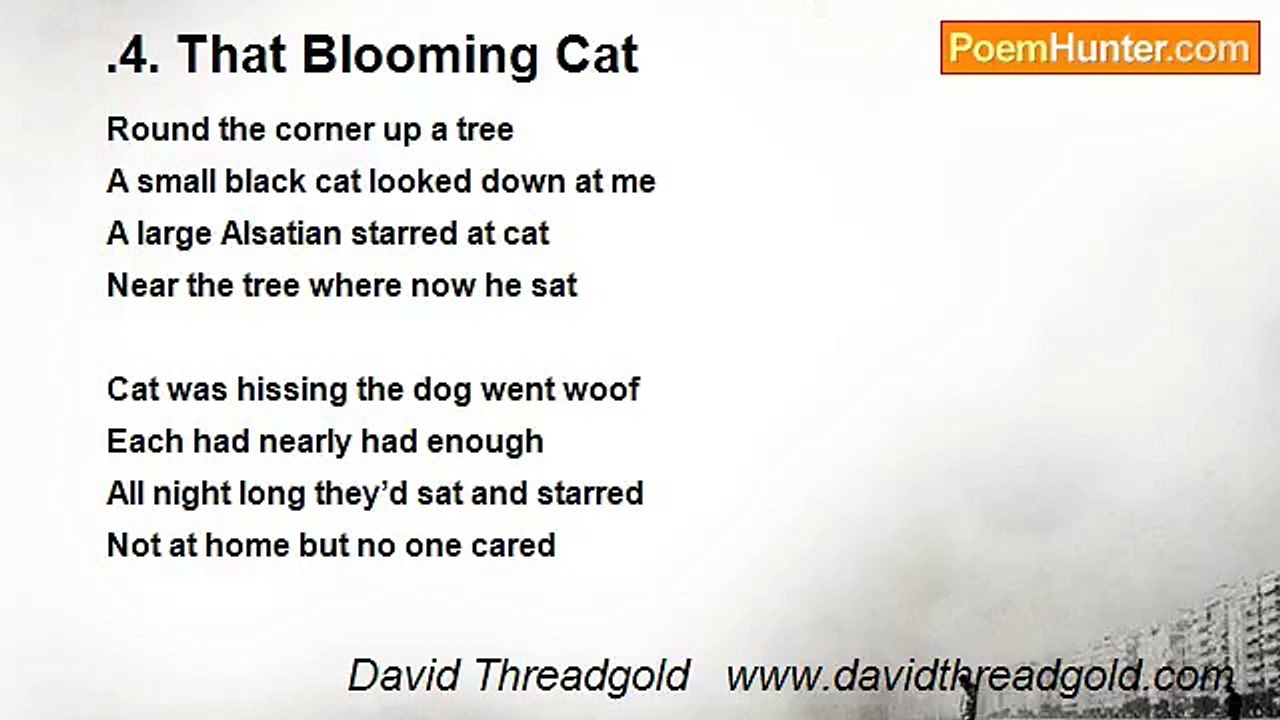 David Threadgold   www.davidthreadgold.com - .4. That Blooming Cat