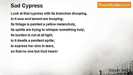 koyel mitra - Sad Cypress
