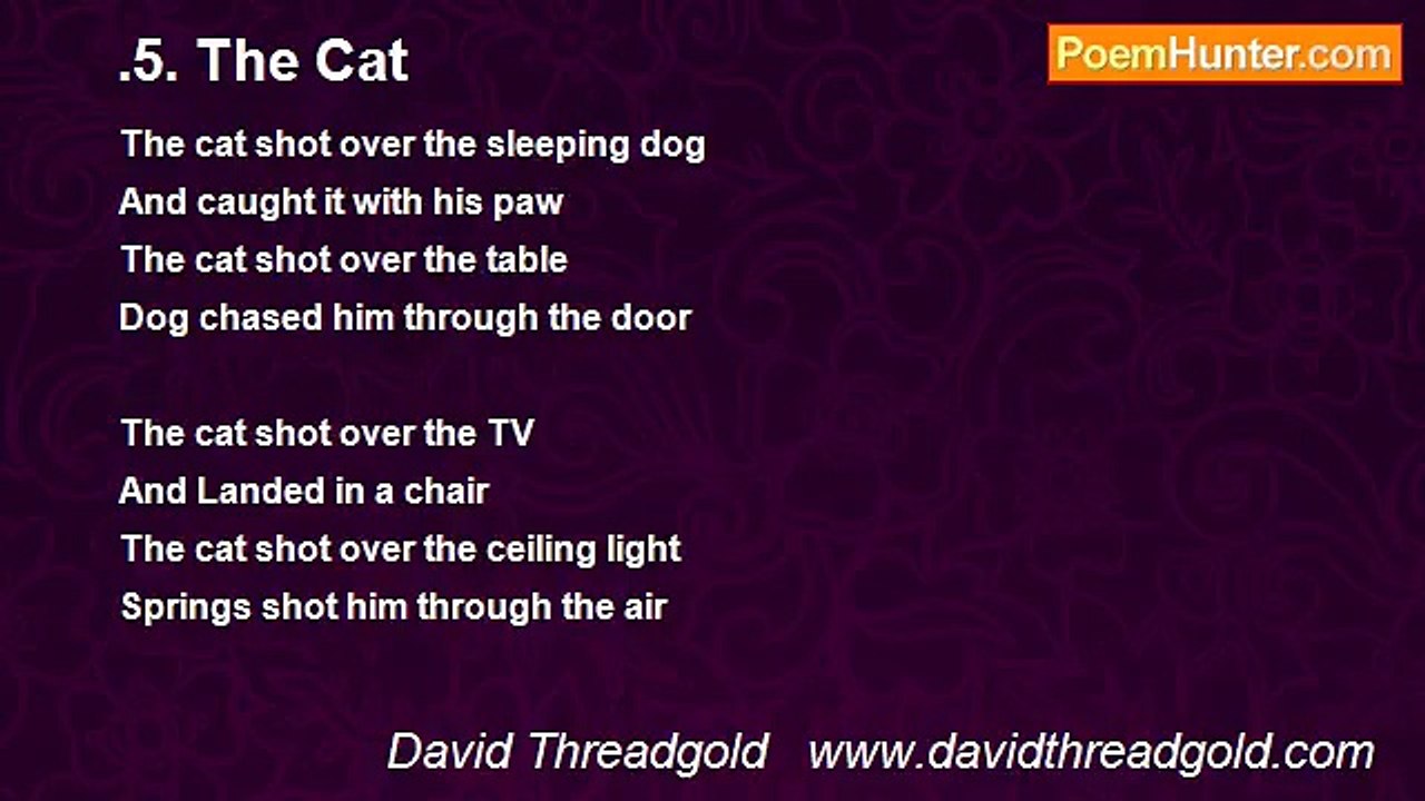 David Threadgold   www.davidthreadgold.com - .5. The Cat