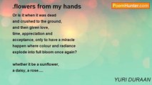 YURI DURAAN - .flowers from my hands